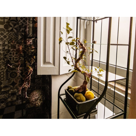 Chambre 4