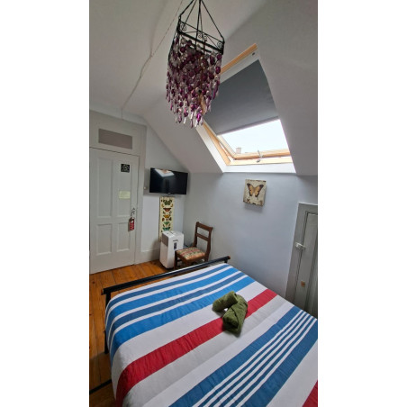 Habitación 3